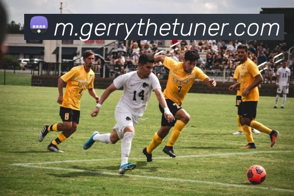国际认证
